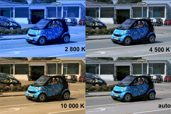 Four identical photos using different values for the white balance