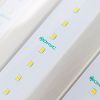 Новые светодиодные светильники от компании Фокус